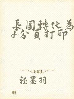 长图转化为pdf分页打印