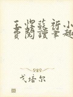王悍苏祈小说免费阅读笔趣阁最新