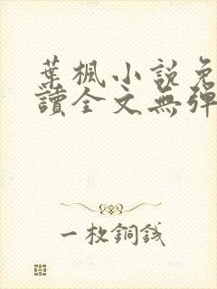 叶枫小说免费阅读全文无弹窗最新