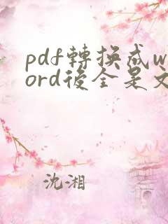 pdf转换成word后全是文本框