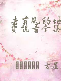 去有风的地方免费观看全集电视剧完整版