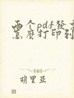 两个pdf发票怎么打印到一张纸上