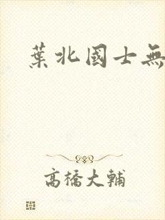 叶北国士无双