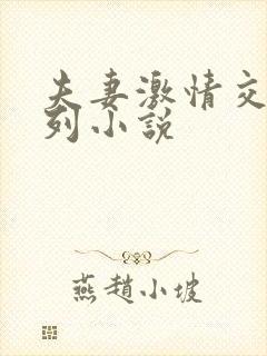 夫妻激情交换系列小说