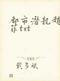 都市潜龙赵东苏菲txt