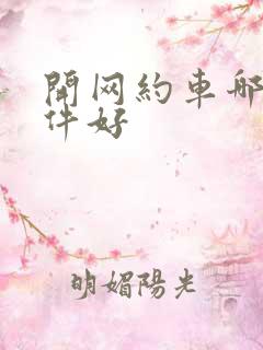 开网约车哪个软件好