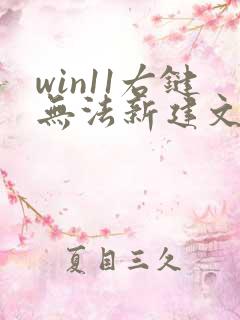 win11右键无法新建文本文档