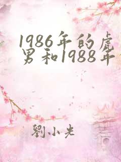 1986年的虎男和1988年的龙女的婚配