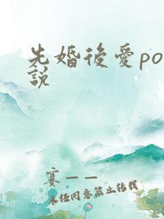 先婚后爱po小说