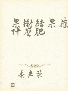 果树结果应该施什么肥