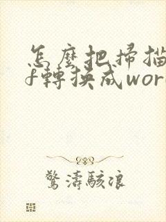 怎么把扫描pdf转换成word