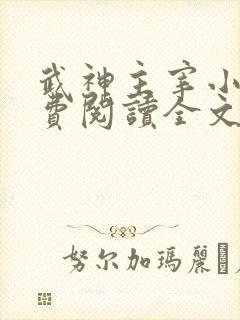 武神主宰小说免费阅读全文笔趣阁