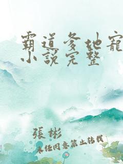 霸道爹地宠又撩小说完整