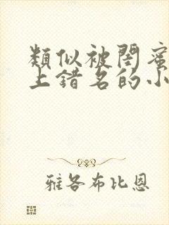 类似被闺蜜男友上错名的小说