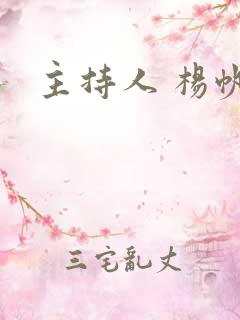 主持人 杨帆
