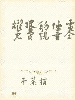 耀眼的他电视剧免费观看全集下载
