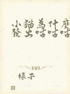 小猫为什么一直发出咕咕咕的声音