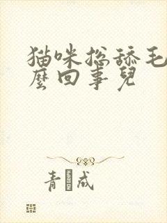 猫咪总舔毛是怎么回事儿