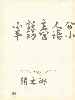 小说主人公叫周平的官场小说
