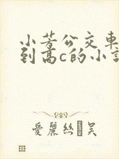 小芳公交车被做到高c的小说