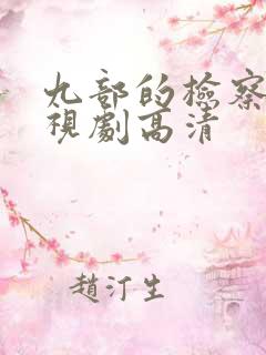 九部的检察官电视剧高清