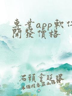 专业app软件开发价格