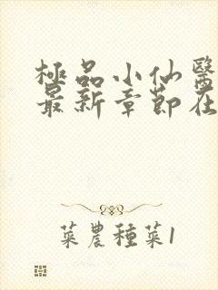 极品小仙医张昊最新章节在线阅读