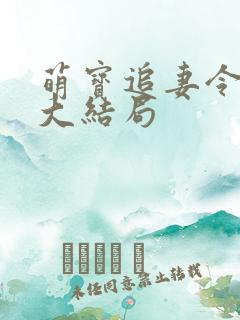 萌宝追妻令短剧大结局