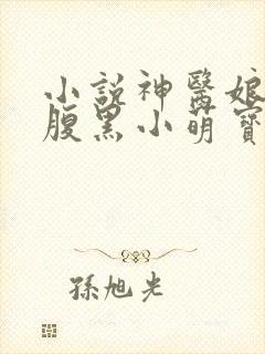小说神医娘亲之腹黑小萌宝