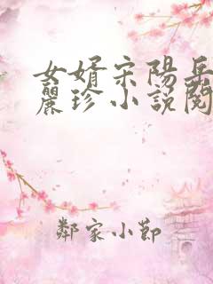 女婿宋阳岳母陈丽珍小说阅读