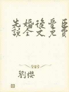 先婚后爱臣年小说全文免费阅读