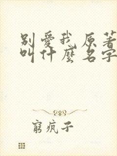 别爱我原著小说叫什么名字