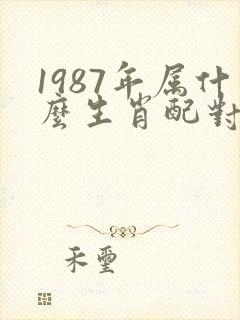 1987年属什么生肖配对最好