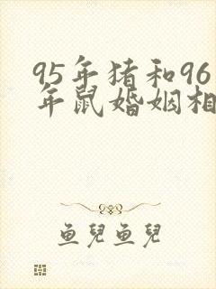 95年猪和96年鼠婚姻相配吗