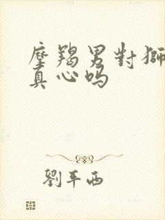 摩羯男对狮子女真心吗