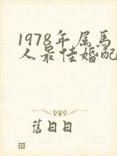 1978年属马人最佳婚配属相