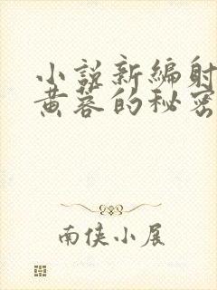 小说新编射雕:黄蓉的秘密在线阅读