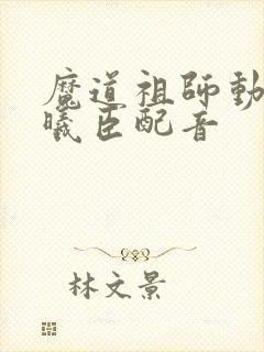 魔道祖师动漫蓝曦臣配音