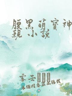 腹黑萌宝神医娘亲 小说