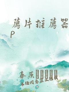 荐片推荐器app