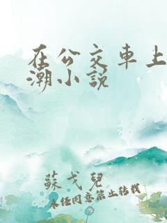 在公交车上被高潮小说