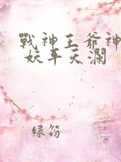 战神王爷神医妃 妖平天澜