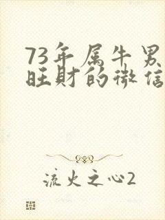 73年属牛男最旺财的微信昵称