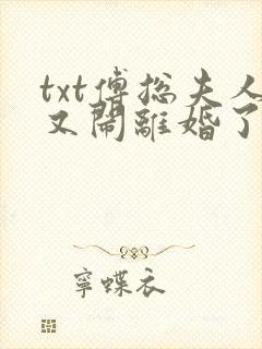 txt傅总夫人又闹离婚了