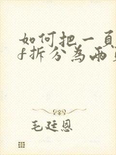 如何把一页pdf拆分为两页