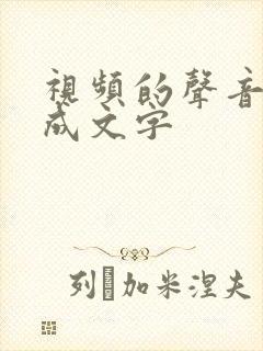 视频的声音转化成文字
