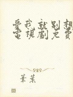 爱我就别想太多电视剧免费播放在线