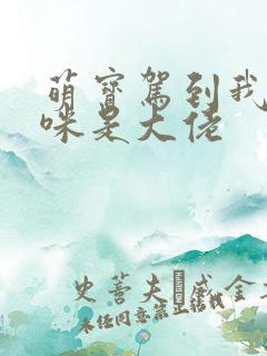 萌宝驾到我的妈咪是大佬