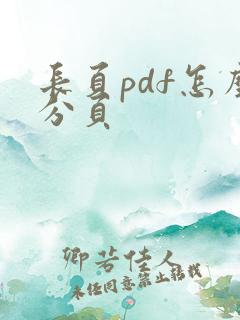 长页pdf怎么分页