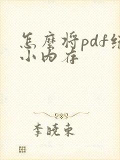 怎么将pdf缩小内存